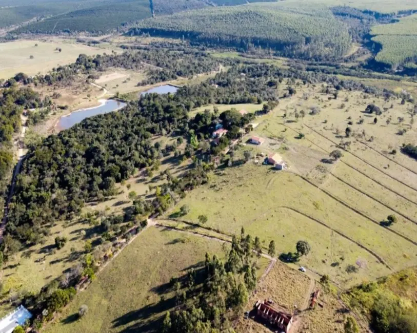 Foto 12 de Chácara à venda, 5000m2 em Pardinho - SP