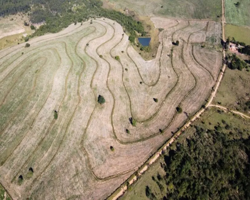 Foto 2 de Chácara à venda, 5000m2 em Pardinho - SP
