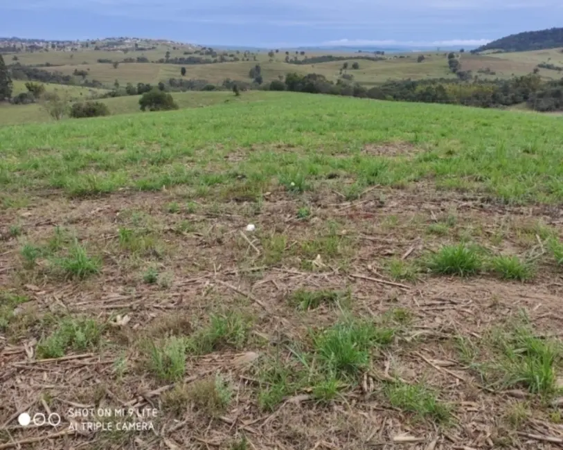 Foto 6 de Chácara à venda em Pardinho - SP
