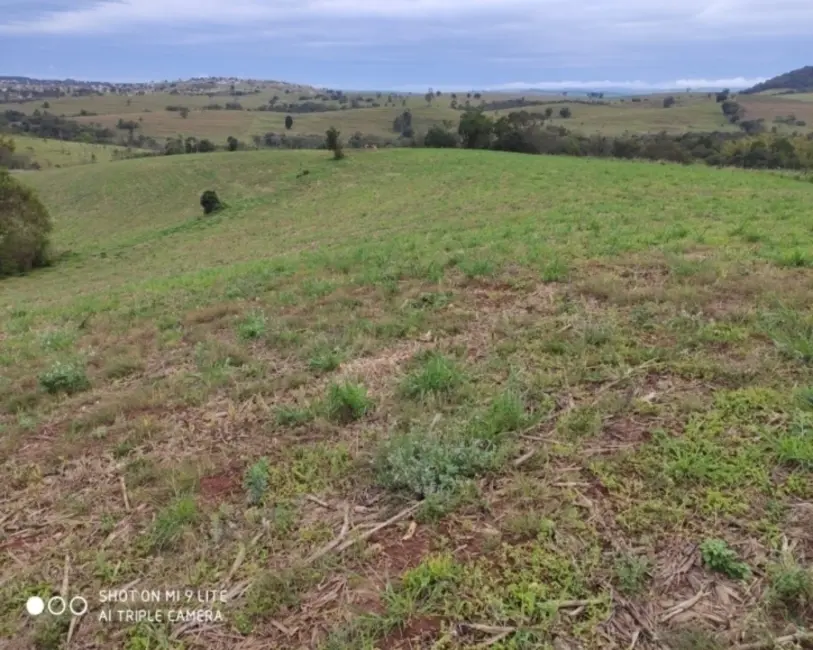 Foto 3 de Chácara à venda em Pardinho - SP