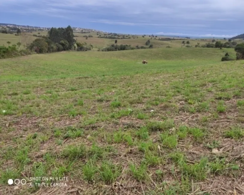 Foto 9 de Chácara à venda em Pardinho - SP