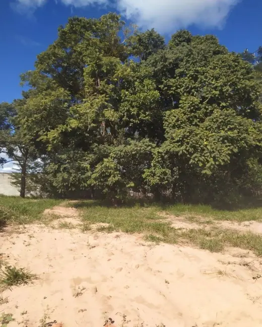 Foto 5 de Terreno / Lote à venda em Pardinho - SP