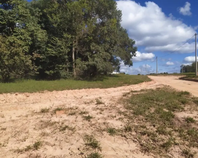 Foto 3 de Terreno / Lote à venda em Pardinho - SP