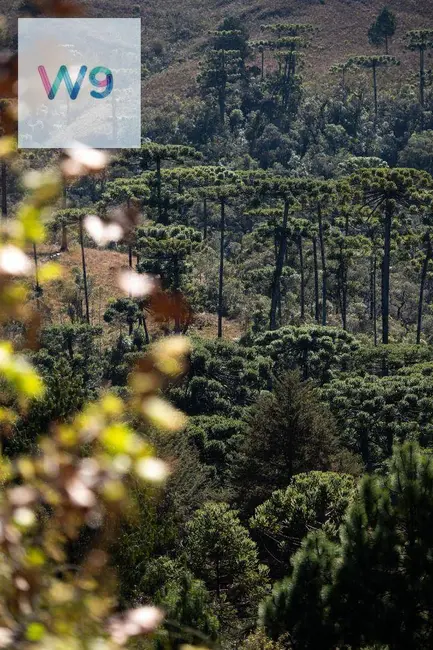 Foto 4 de Casa de Condomínio com 5 quartos à venda, 1000m2 em Campos Do Jordao - SP