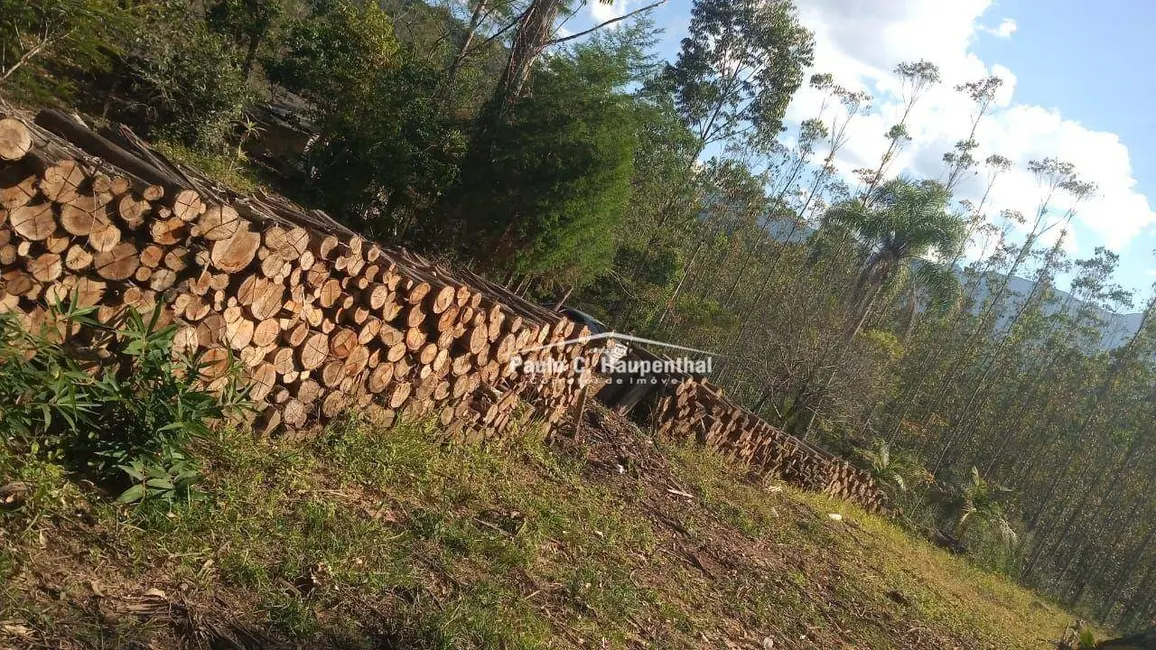 Foto 5 de Sítio / Rancho com 1 quarto à venda, 90000m2 em Timbe Do Sul - SC