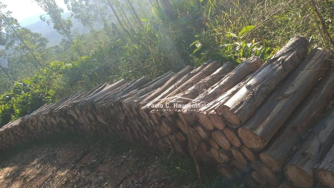 Foto 7 de Sítio / Rancho com 1 quarto à venda, 90000m2 em Timbe Do Sul - SC