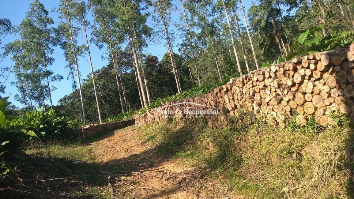 Foto 2 de Sítio / Rancho com 1 quarto à venda, 90000m2 em Timbe Do Sul - SC