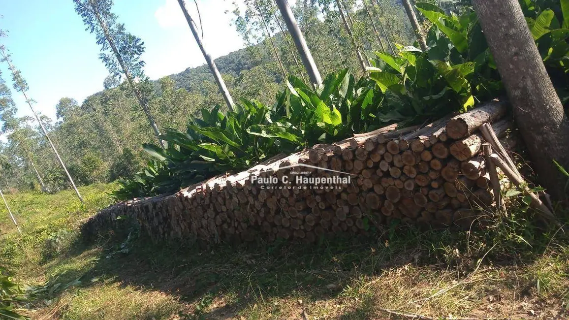 Foto 6 de Sítio / Rancho com 1 quarto à venda, 90000m2 em Timbe Do Sul - SC