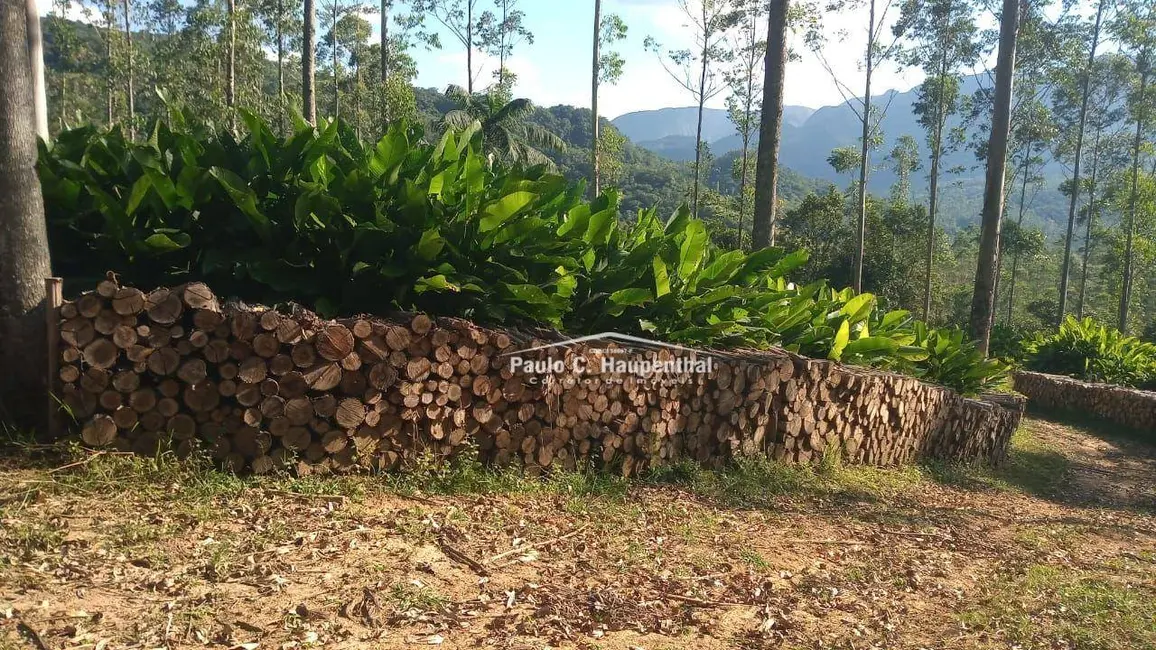 Foto 8 de Sítio / Rancho com 1 quarto à venda, 90000m2 em Timbe Do Sul - SC
