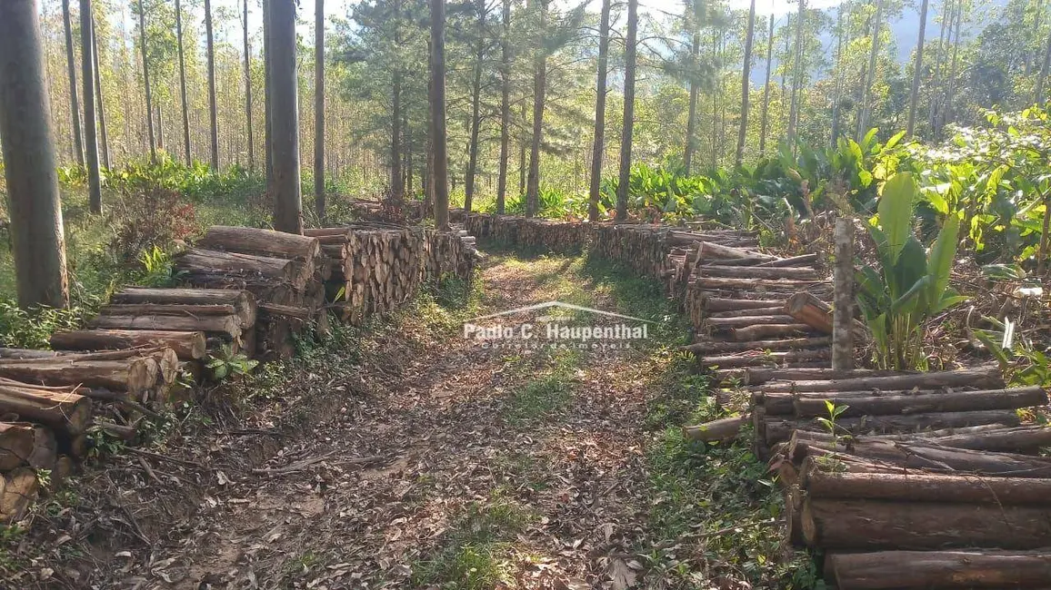 Foto 9 de Sítio / Rancho com 1 quarto à venda, 90000m2 em Timbe Do Sul - SC