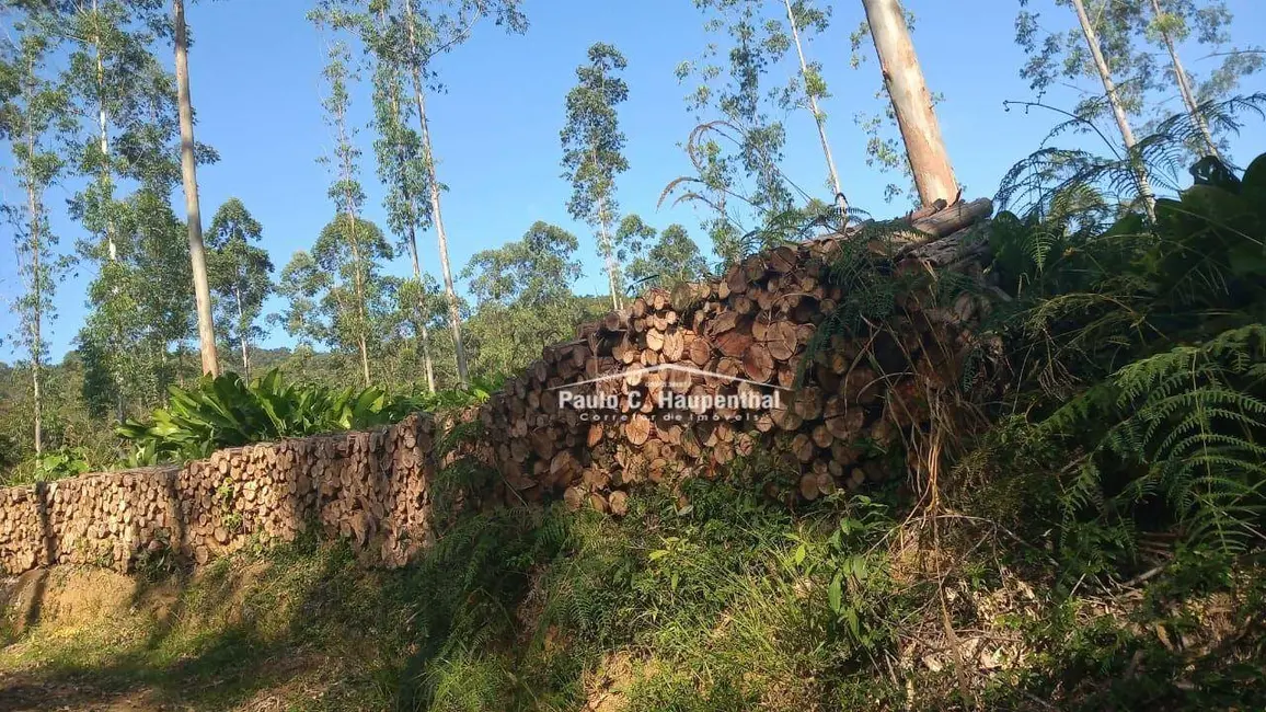 Foto 1 de Sítio / Rancho com 1 quarto à venda, 90000m2 em Timbe Do Sul - SC