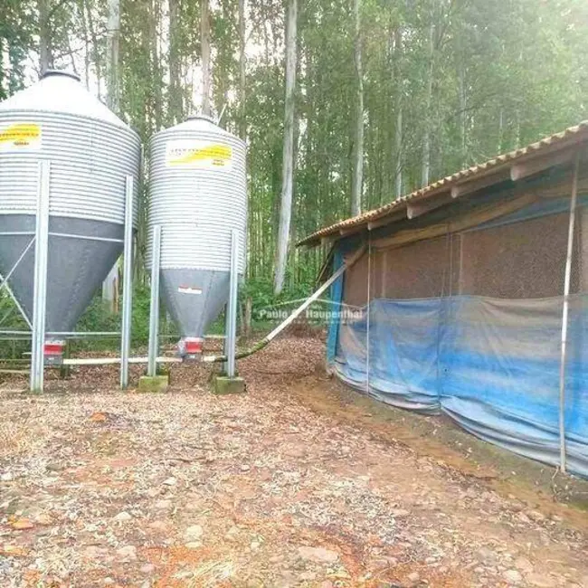 Foto 8 de Sítio / Rancho com 3 quartos à venda, 200000m2 em Turvo - SC