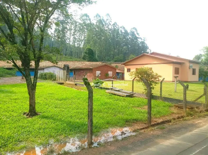 Foto 6 de Chácara com 4 quartos à venda, 15000m2 em Turvo - SC