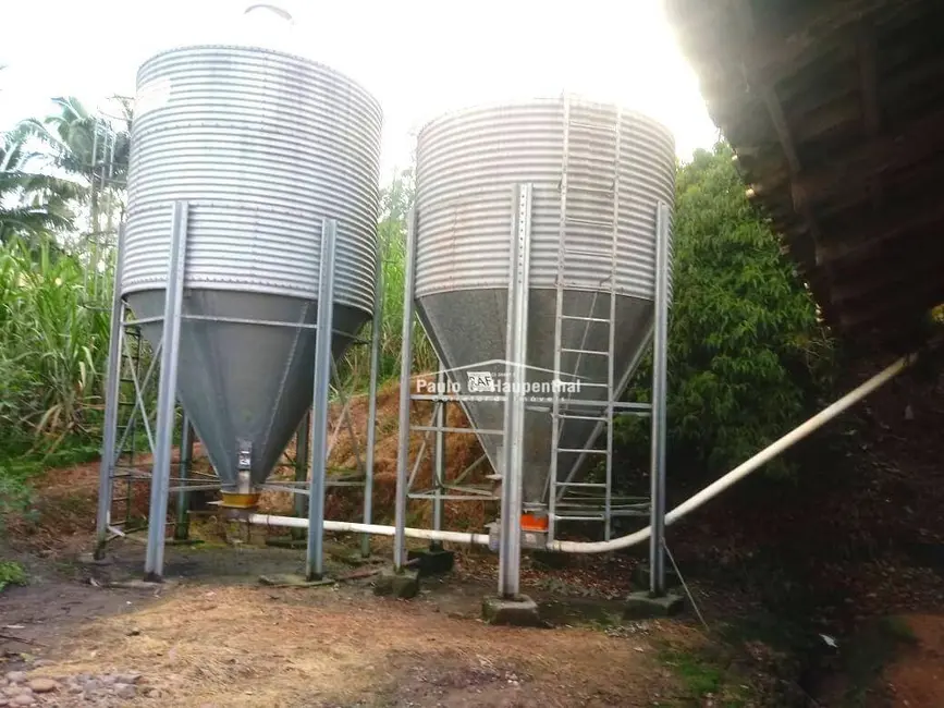 Foto 9 de Chácara com 4 quartos à venda, 15000m2 em Turvo - SC