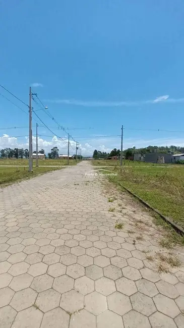 Terreno / Lote à venda, 300m2 em Santa Rosa Do Sul - SC - imagem 5 Foto 5 de Terreno / Lote à venda, 300m2 em Santa Rosa Do Sul - SC