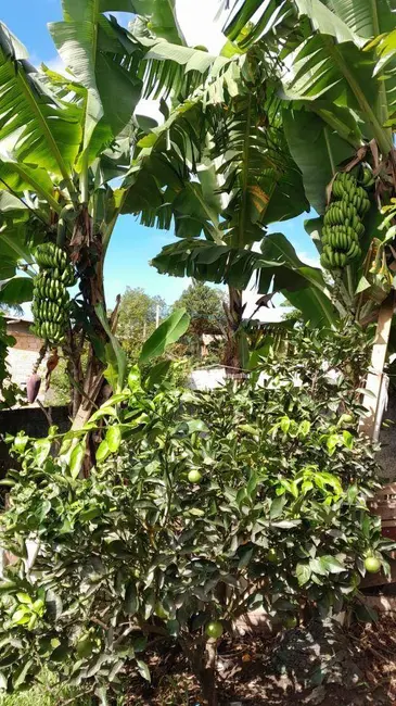 Casa com 2 quartos à venda, 450m2 em Coloninha, Ararangua - SC - imagem 5 Foto 5 de Casa com 2 quartos à venda, 450m2 em Coloninha, Ararangua - SC