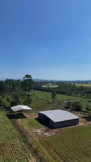 Chácara com 2 quartos à venda, 55000m2 em Icara - SC - imagem 5 Foto 5 de Chácara com 2 quartos à venda, 55000m2 em Icara - SC
