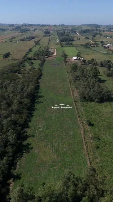 Chácara com 2 quartos à venda, 55000m2 em Icara - SC - imagem 3 Foto 3 de Chácara com 2 quartos à venda, 55000m2 em Icara - SC