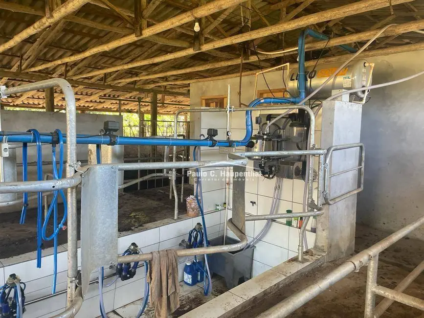 Foto 5 de Fazenda / Haras com 5 quartos à venda, 980000m2 em Morro Grande - SC