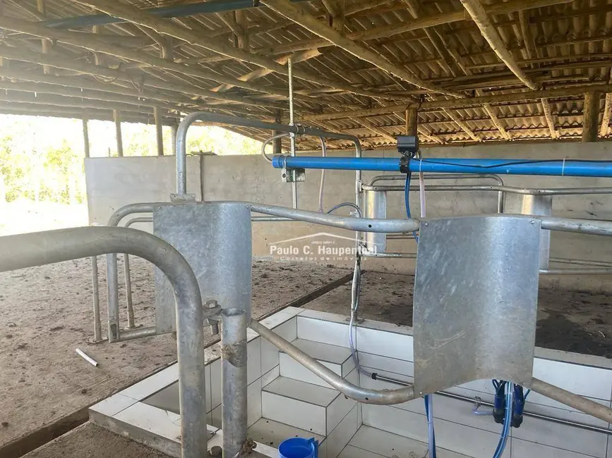 Foto 6 de Fazenda / Haras com 5 quartos à venda, 980000m2 em Morro Grande - SC