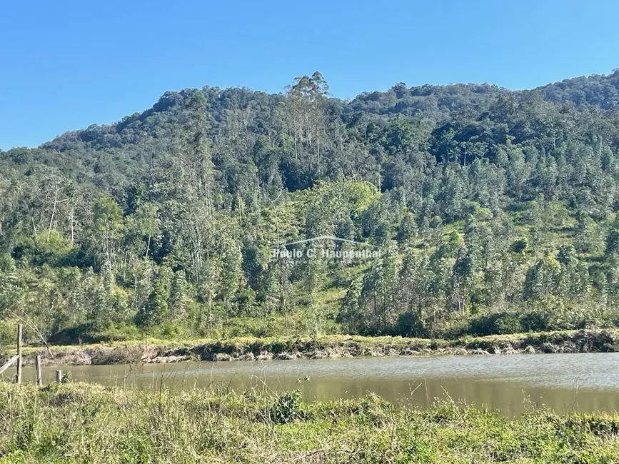 Foto 4 de Fazenda / Haras com 5 quartos à venda, 980000m2 em Morro Grande - SC