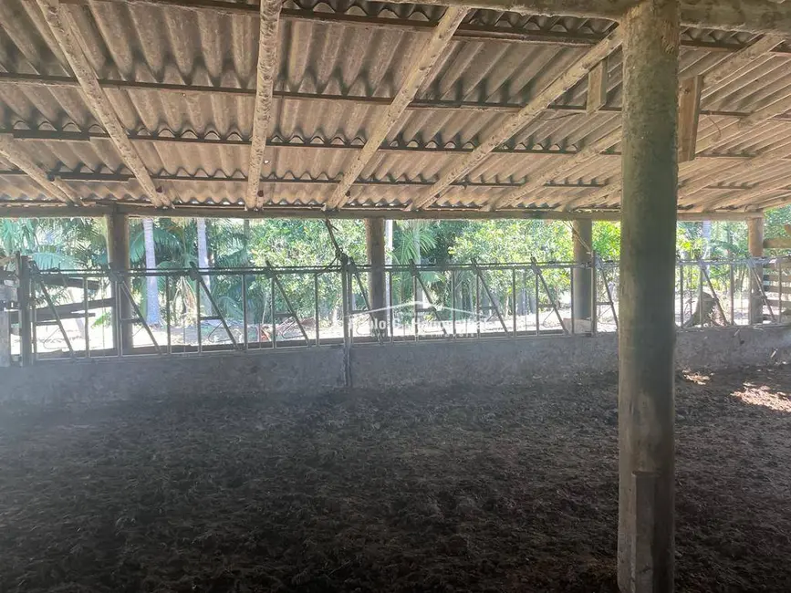 Foto 7 de Fazenda / Haras com 5 quartos à venda, 980000m2 em Morro Grande - SC