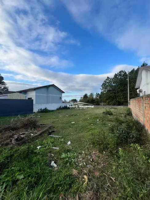 Foto 6 de Terreno / Lote à venda, 318m2 em Morro dos Conventos, Ararangua - SC