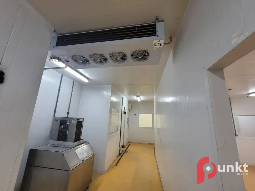 Armazém / Galpão para alugar, 1300m2 em Santa Etelvina, Manaus - AM - imagem 6 Foto 6 de Armazém / Galpão para alugar, 1300m2 em Santa Etelvina, Manaus - AM