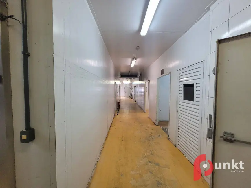 Armazém / Galpão para alugar, 1300m2 em Santa Etelvina, Manaus - AM - imagem 3 Foto 3 de Armazém / Galpão para alugar, 1300m2 em Santa Etelvina, Manaus - AM