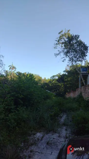 Foto 3 de Terreno / Lote à venda, 2500m2 em Tarumã, Manaus - AM