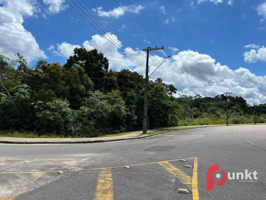 Foto 4 de Terreno / Lote para alugar, 1500m2 em Ponta Negra, Manaus - AM