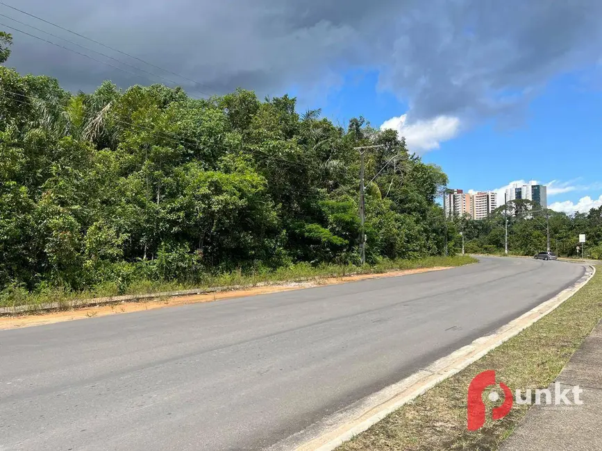 Terreno / Lote para alugar, 3000m2 em Ponta Negra, Manaus - AM - imagem 8 Foto 8 de Terreno / Lote para alugar, 3000m2 em Ponta Negra, Manaus - AM