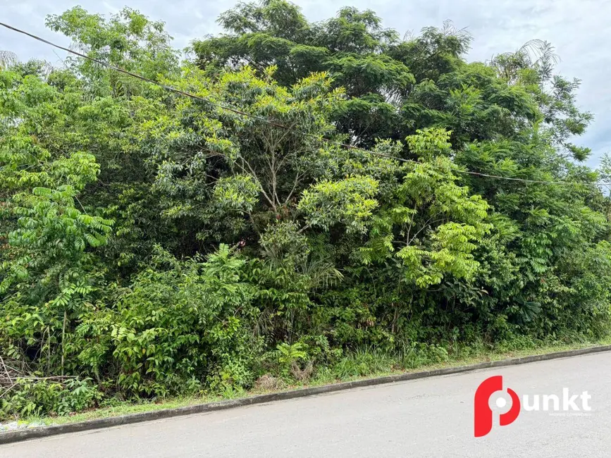 Foto 2 de Terreno / Lote à venda, 1621m2 em Ponta Negra, Manaus - AM