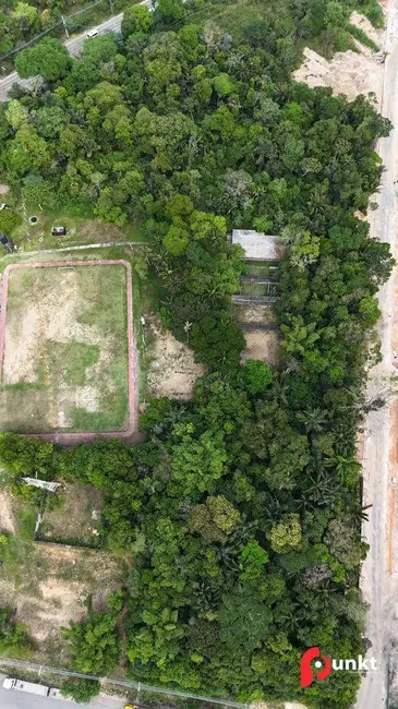 Terreno / Lote à venda, 35000m2 em Flores, Manaus - AM - imagem 3 Foto 3 de Terreno / Lote à venda, 35000m2 em Flores, Manaus - AM