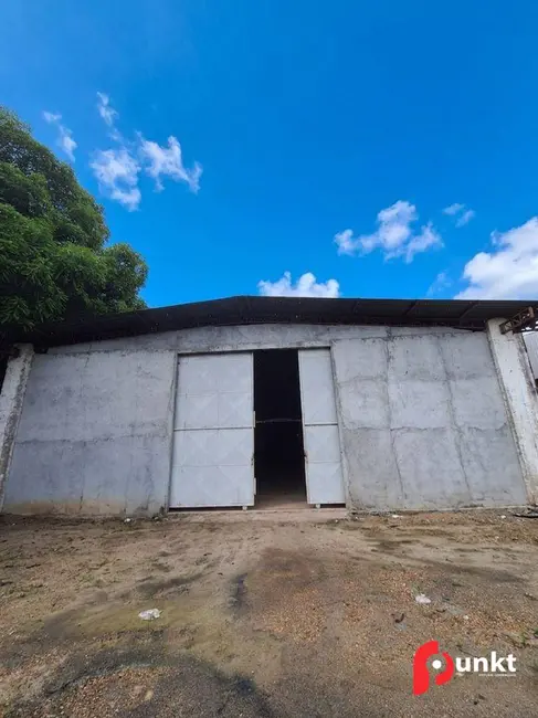 Foto 6 de Armazém / Galpão para alugar, 29830m2 em Colônia Antônio Aleixo, Manaus - AM