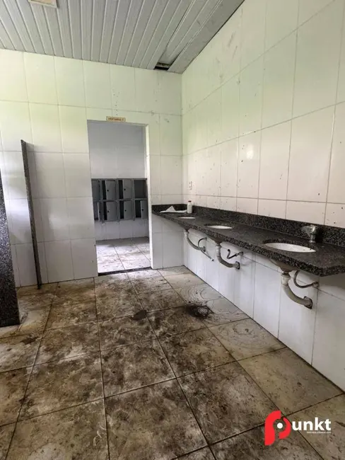 Foto 8 de Armazém / Galpão à venda e para alugar, 20000m2 em Manaus - AM