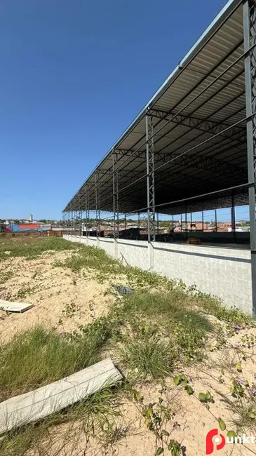 Foto 6 de Armazém / Galpão à venda e para alugar, 15000m2 em Santa Etelvina, Manaus - AM