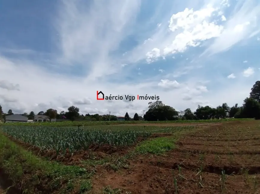 Foto 4 de Fazenda / Haras com 2 quartos à venda, 133100m2 em Ibiuna - SP