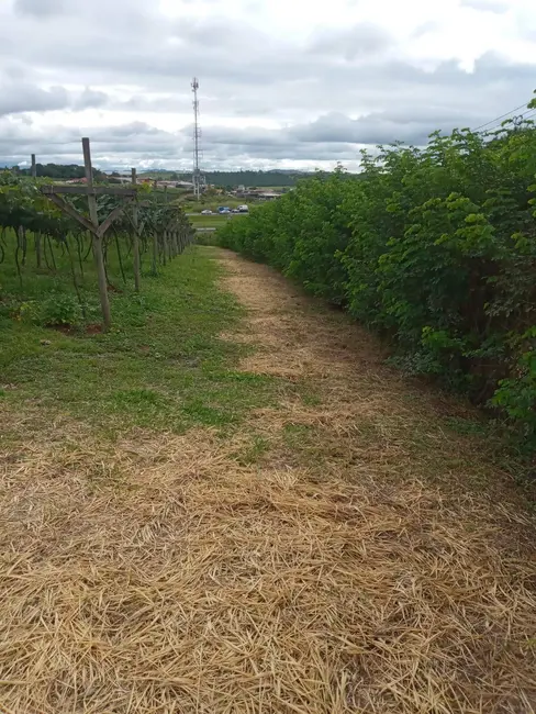 Foto 8 de Terreno / Lote à venda, 13000m2 em Poste, Jundiai - SP
