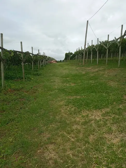 Foto 4 de Terreno / Lote à venda, 13000m2 em Poste, Jundiai - SP