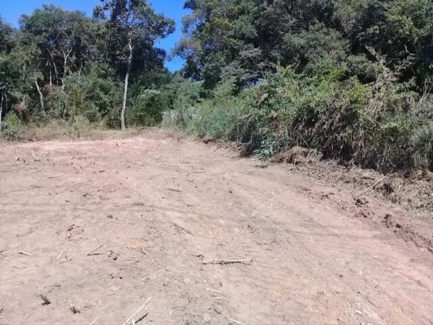 Foto 1 de Terreno / Lote à venda, 3000m2 em Maracanã, Jarinu - SP