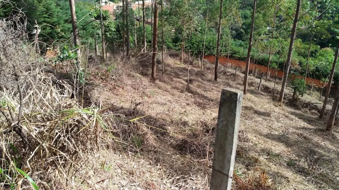 Foto 2 de Terreno / Lote à venda, 6900m2 em Estância São Paulo, Campo Limpo Paulista - SP