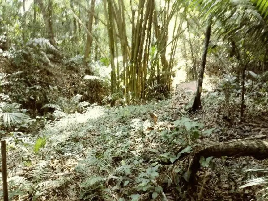 Foto 7 de Terreno / Lote à venda, 5250m2 em Santa Clara, Jundiai - SP