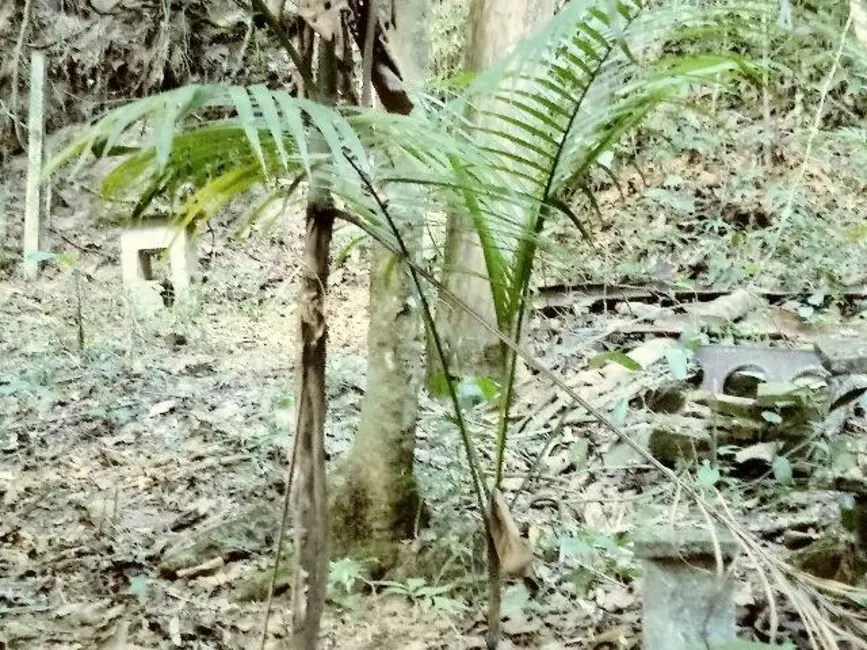 Foto 8 de Terreno / Lote à venda, 5250m2 em Santa Clara, Jundiai - SP