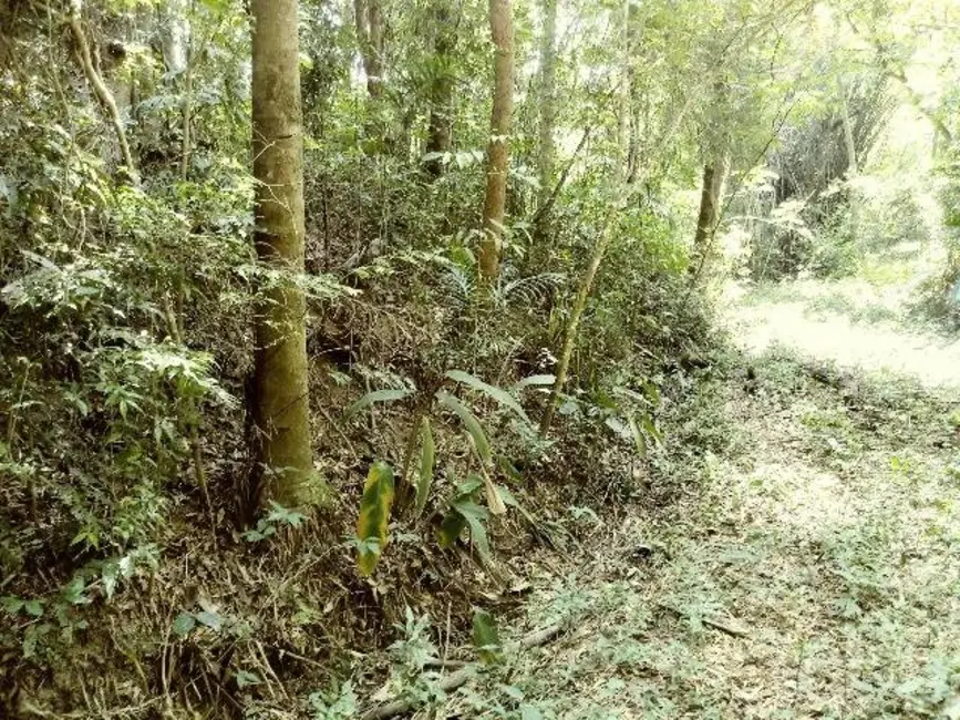 Foto 2 de Terreno / Lote à venda, 5250m2 em Santa Clara, Jundiai - SP