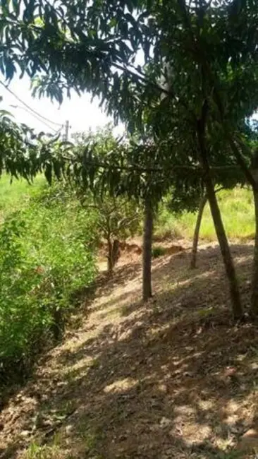 Foto 5 de Terreno / Lote à venda, 2000m2 em Chácaras Campo Limpo, Campo Limpo Paulista - SP