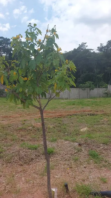 Foto 3 de Lote de Condomínio à venda, 360m2 em Itupeva - SP