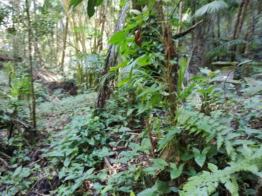 Foto 8 de Terreno / Lote à venda, 5250m2 em Santa Clara, Jundiai - SP