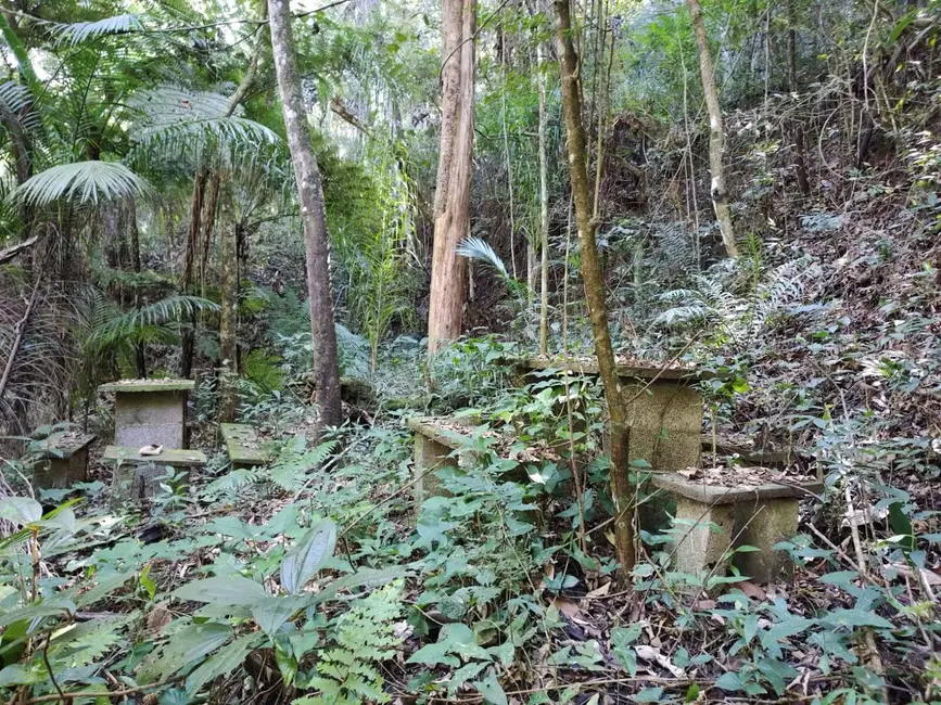 Foto 3 de Terreno / Lote à venda, 5250m2 em Santa Clara, Jundiai - SP