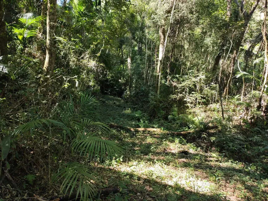 Foto 7 de Terreno / Lote à venda, 5250m2 em Santa Clara, Jundiai - SP
